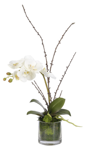 Orchid Floral Arrangement in Jar