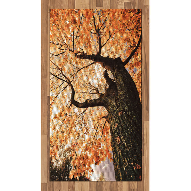 Landscape High Density Long Fiber Poly Threads Decorative Area Rug Carpet, Rectangle 2'7" x 5'