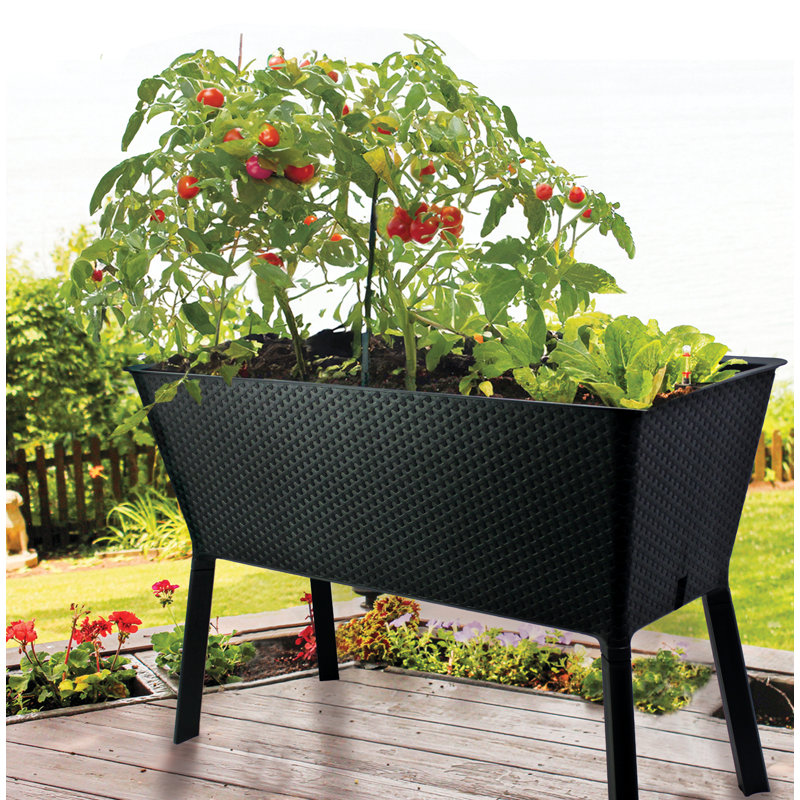 Lit de jardin surélevé Oasis XL - gris anthracite | Boîte à fleurs surélevée pour patio et cour arrière