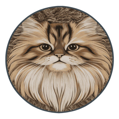  Tapis lavable chats persans