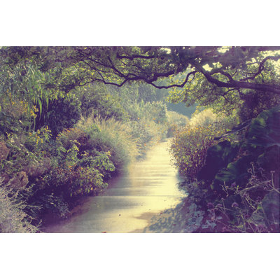 Nature Stream 2 - Wrapped Canvas Print