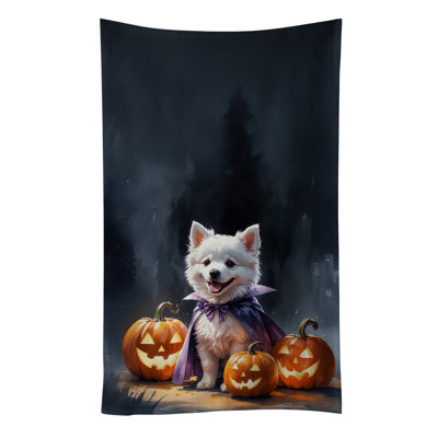 Torchon American Eskimo Puppy