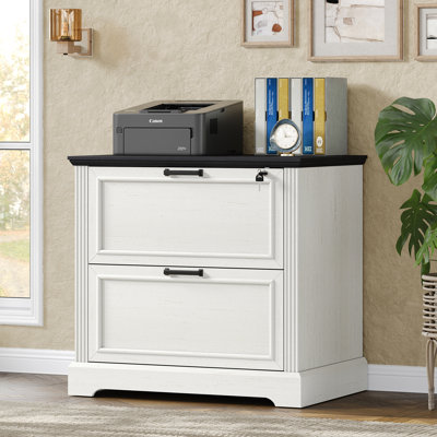 Buckhorn 30" Farmhouse File Cabinet With 2 Drawers,office Storage Cabinet With Lock For Home Office by Ophelia & Co.