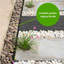 5 cm H x 100 cm W Lawn Edging Fencing