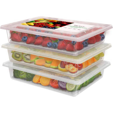 Wayfair Basics® Berrian 5 Container Food Storage Set & Reviews