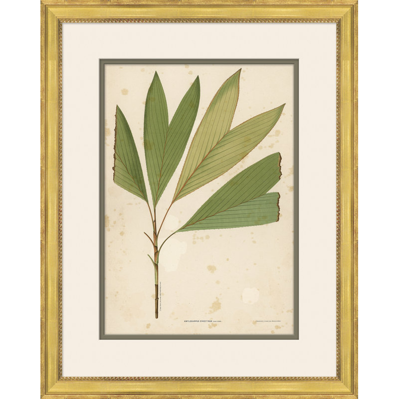 «Palm Leaves 6», peinture sur cadre