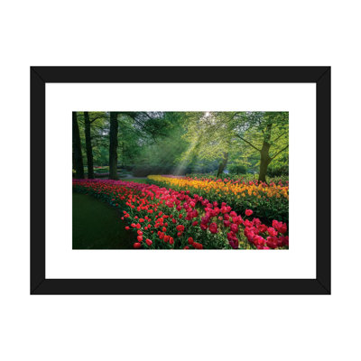 «Special Garden» - Imprimé