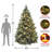 Carolina Pine Tree with Clear Lights-1118829670