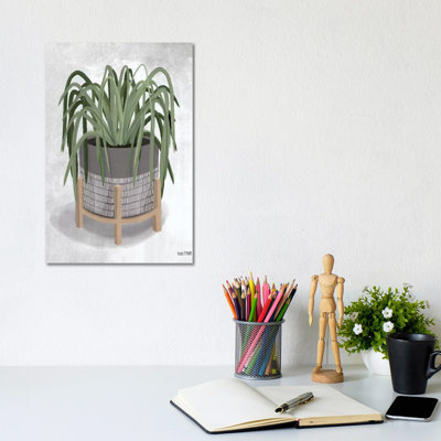 Spider Plant 1 Piece Wrapped Canvas Painting
