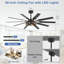 Ventilateur de plafond en cage de 60 po avec lumière et télécommande, ventilateur de plafond à moteur à courant continu pour l'intérieur et l'extérieur, ventilateur réversible silencieux avec 4 prises E12, idéal pour le patio de la chambre à coucher
