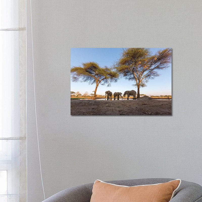 Africa, Botswana, Senyati Safari Camp Elephants At Water Hole by Jaynes Gallery - Wrapped Canvas Print
