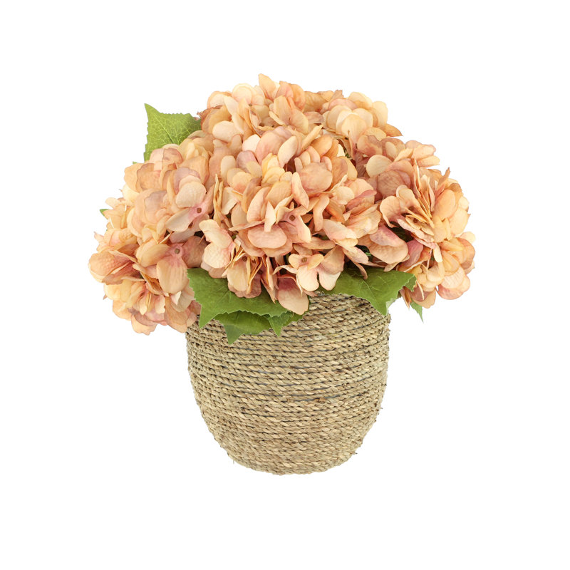 Arrangement floral d'automne hortensia, Rose / Pêche