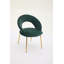 Meshea Dining Chair with Sleek Metal Legs-123099098-110480669