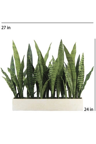 27" Potted Snake Plant - Natural, Natural
