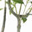 Faux Japonica Plant in Cement Planter-1140053593