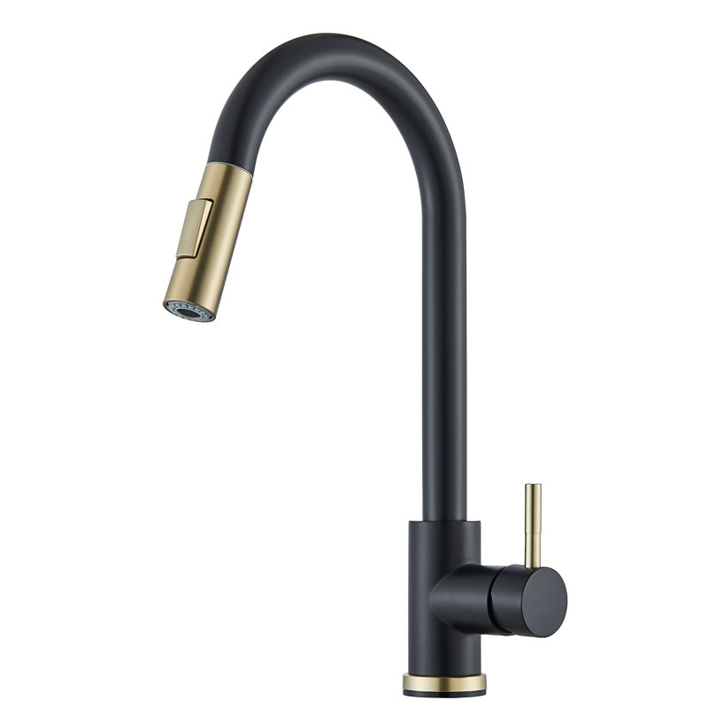 Belfry Kitchen Lomonaco Kitchen Faucet