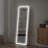 64" Wall Mounted Freestanding Hanging Mirror Full Length Floor Mirror With Light For Bedroom