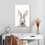 Visage de lapin Brampt-108249904