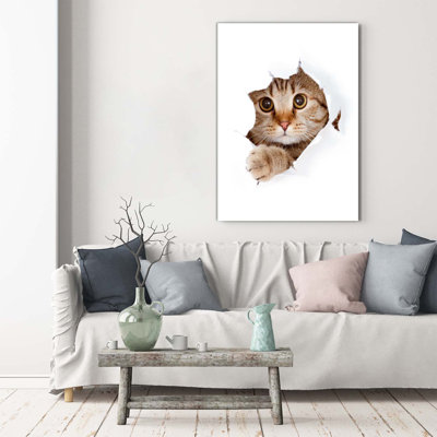 Cat - Wrapped Canvas Print