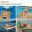 Jouets pour chien et piscine gonflable