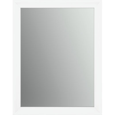 Delta Rectangular Standard Flush Mount Glass Bathroom/Vanity Mirror
