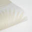 Stamped Palm Peel and Stick Wallpaper-631672925