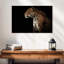 Jaguar de minuit Brampt-108697914