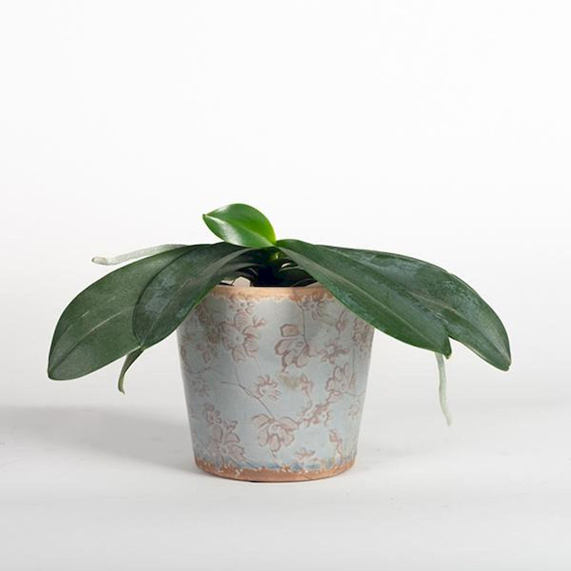 Cache pot en céramique