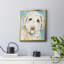 Labradoodle I, toile encadrée de qualité supérieure - prête à être accrochée-547013910-547013908