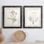 «Neutral Botanical Study VIIP», reproduction d'art encadrée - prête à être accrochée-558944179-559107761-558944181