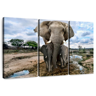 Safari éléphants
