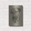 "Bull Mastiff" par Barbara Keith-1311502556