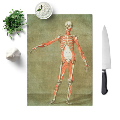 Tempered Glass Anatomical Illustration of a Male No. 3 Chopping Board