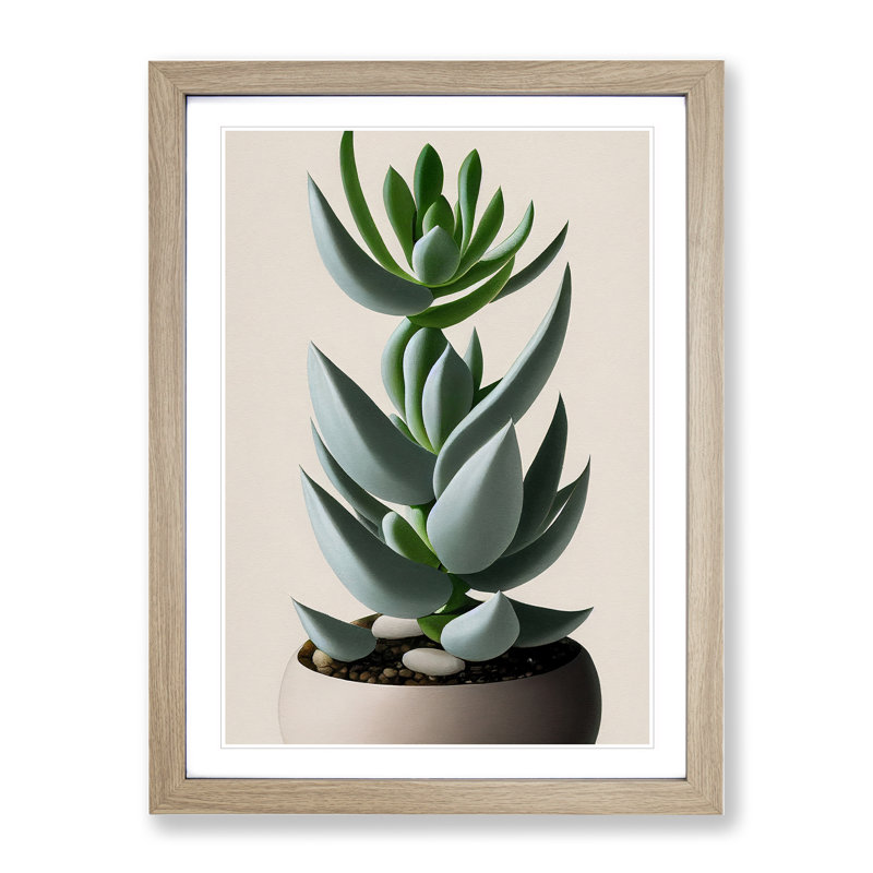 Succulent Plant - Single Picture Frame Print, 64cm H x 46cm W x 2cm D, Oak Framed
