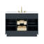 Aderyn 48" Single Vanity-99368131