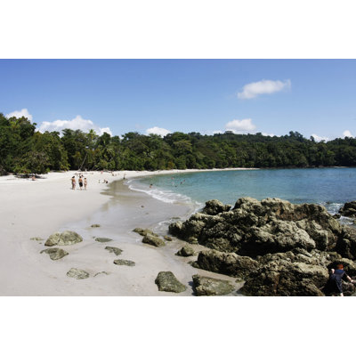 Tropical Beach - Wrapped Canvas Print