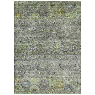  Machine Washable Indoor/Outdoor Chantille ACN1220 Rug