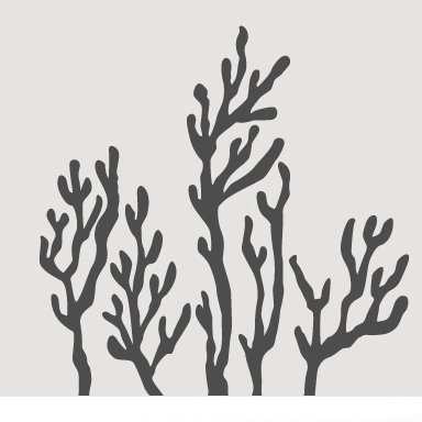 Décalcomanie murale corail, Gris foncé