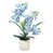 Blue est en rupture de stock