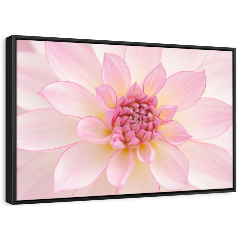 Impression sur toile de pétales rose clair, H 9 po x l 13 po