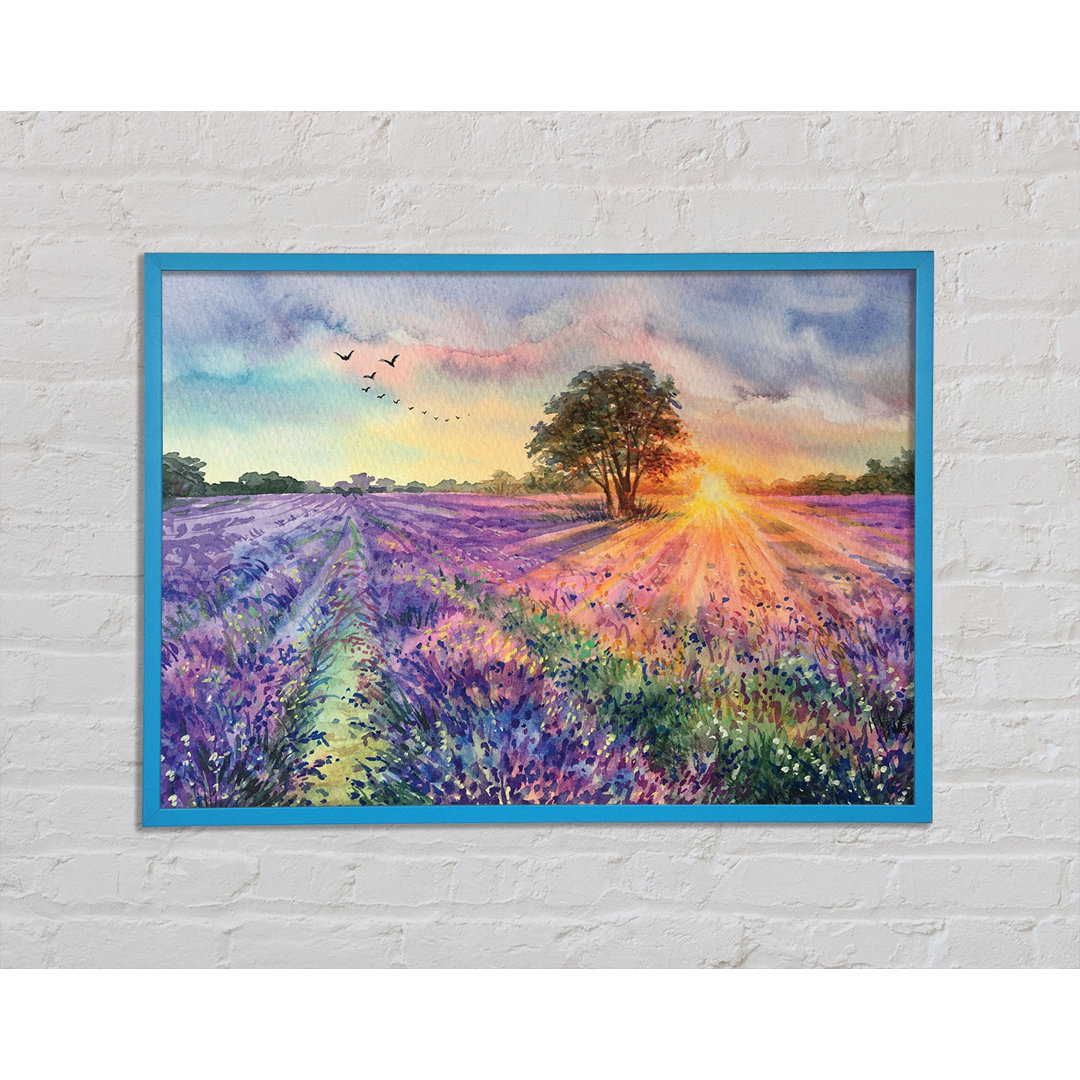 Gerahmtes Leinwandbild Lilac Fields Sunset