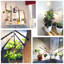 Maker Network Grow Light
