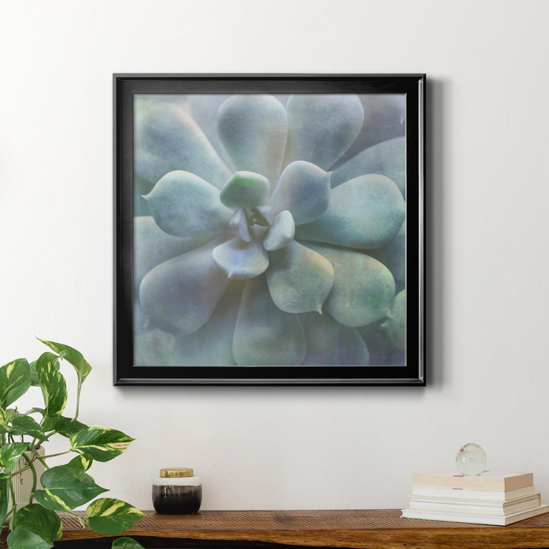 Soft Succulent II - peinture sur toile encadrée, H 34,5 po x l 34,5 po x P 1,5 po, Cadre noir