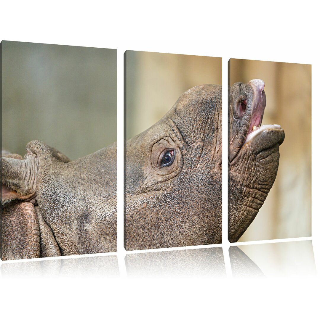 3-tlg. Leinwandbilder-Set „Kleines Nashorn“, Fotodruck