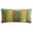 Oignon vert