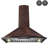 30-in 343-CFM Convertible Vine Embossed Copper Wall-Mounted Range Hood with Carbon Filters