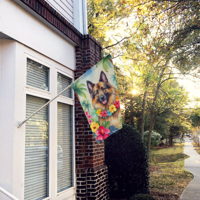 Drapeau de la maison belge Tervuren Luau