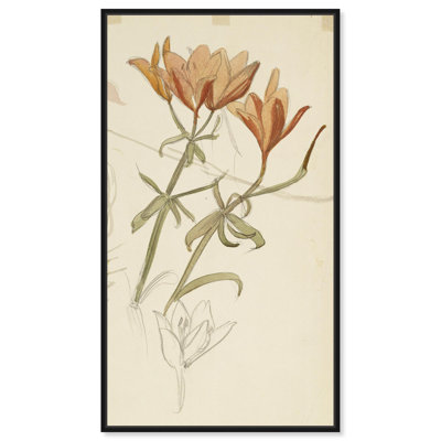 Floral par Albert