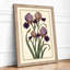 Iris Cluster Botanical - Framed Print-1121257072-1121257079