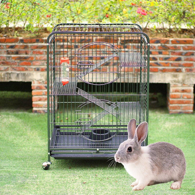 Mouse Cage
